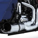 Python Rayzer 2-into-1 Exhaust System